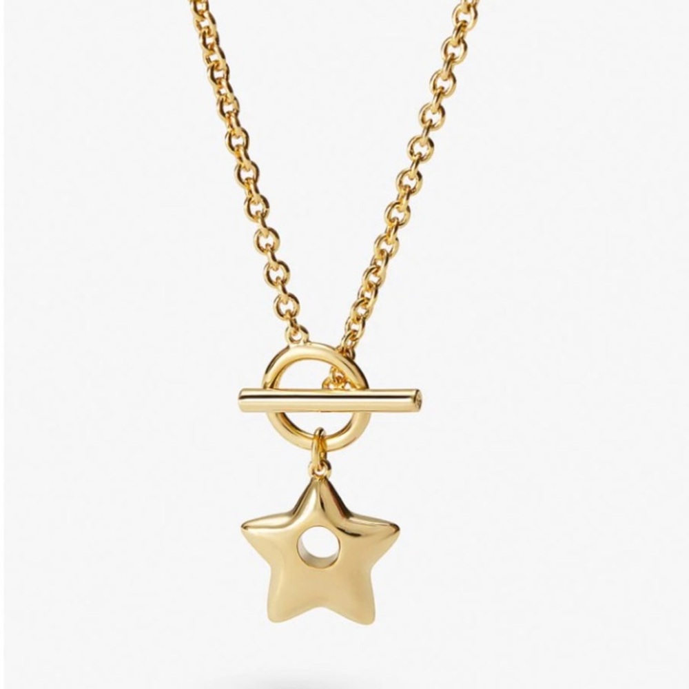 Ana Luisa Danielle Star Necklace!